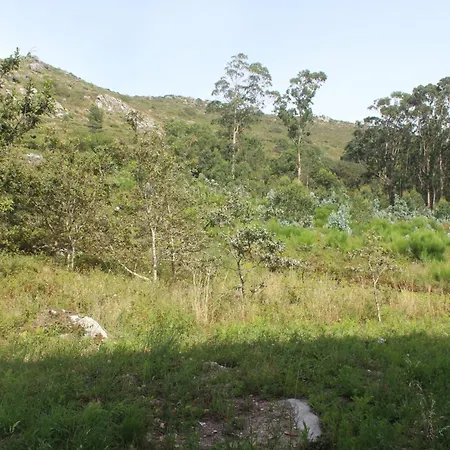 Alen De Louro - 4 Larino Gandara (Muros)